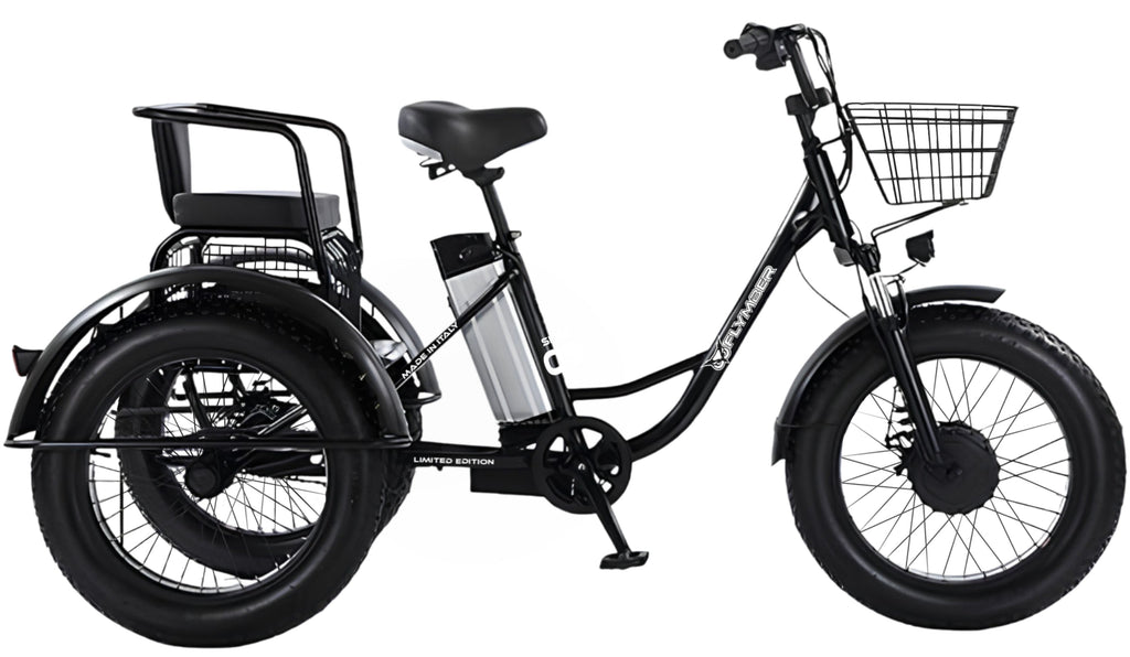 Cargo Trike Flymber - Flymber Bikes -