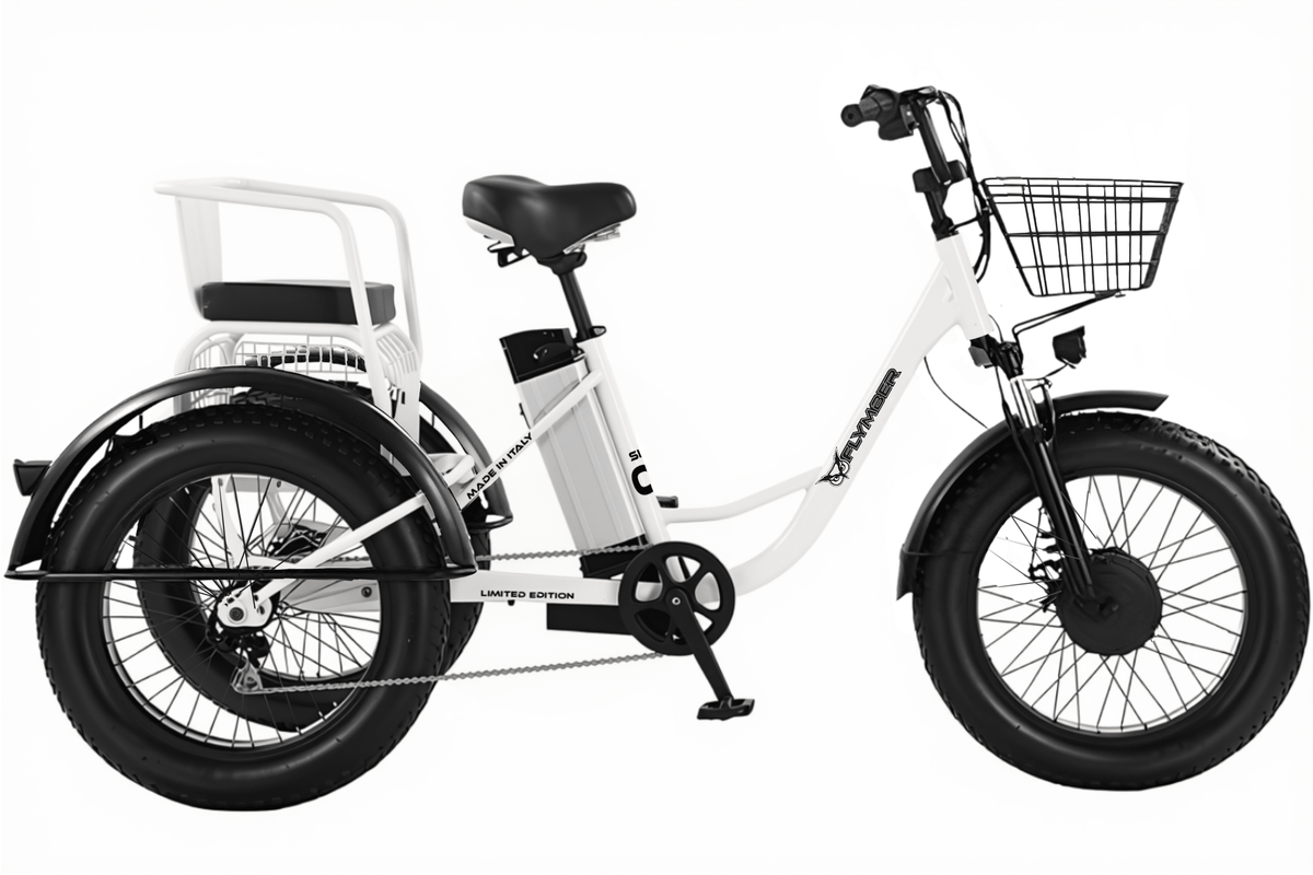 Cargo Trike Flymber - Flymber Bikes -