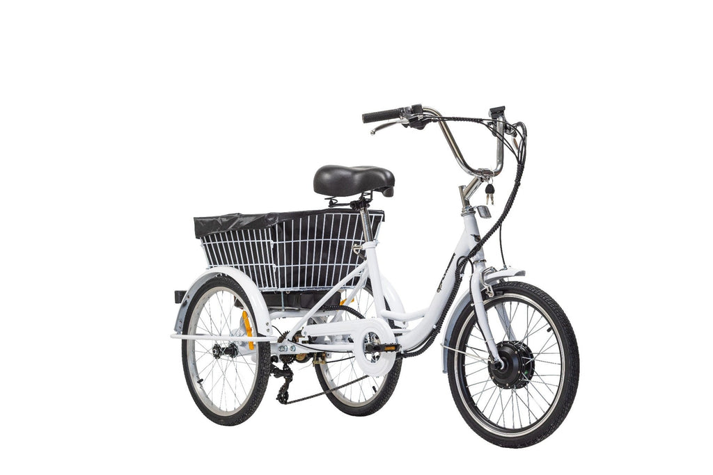 Trike Flymber 20 - Flymber Bikes -