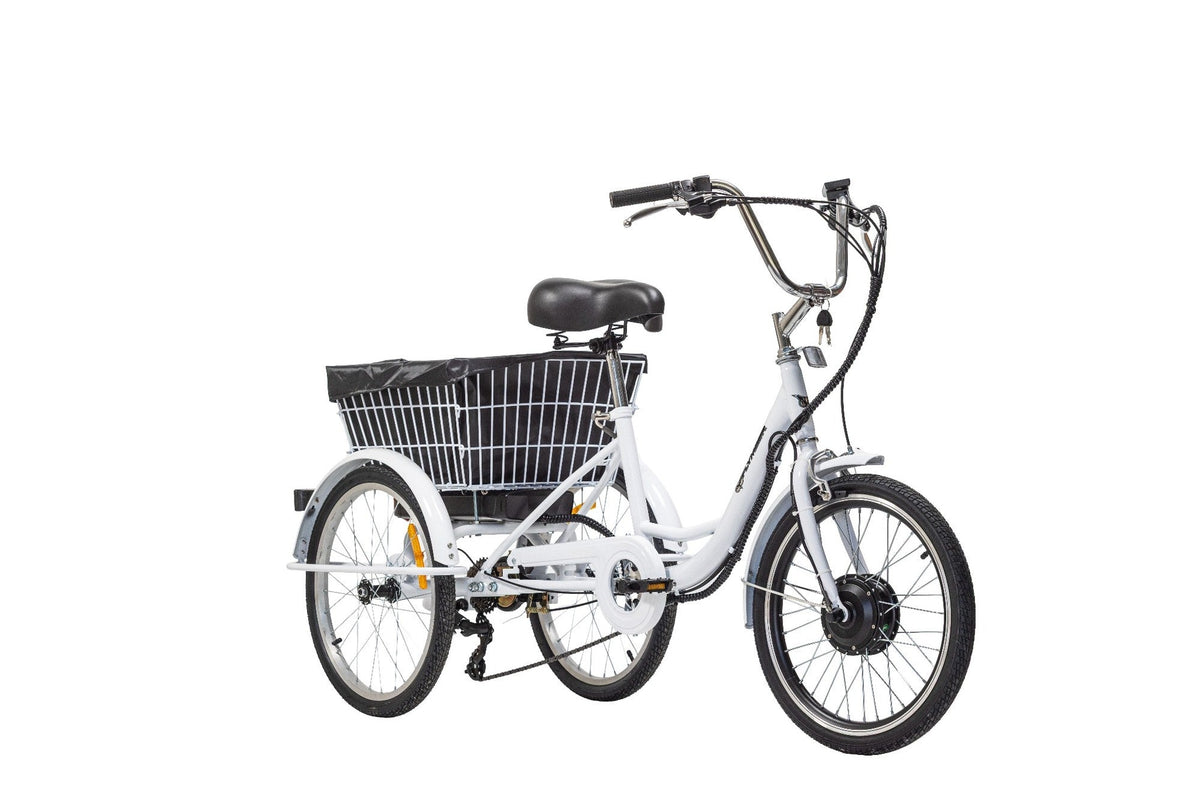 Trike Flymber 20 - Flymber Bikes -
