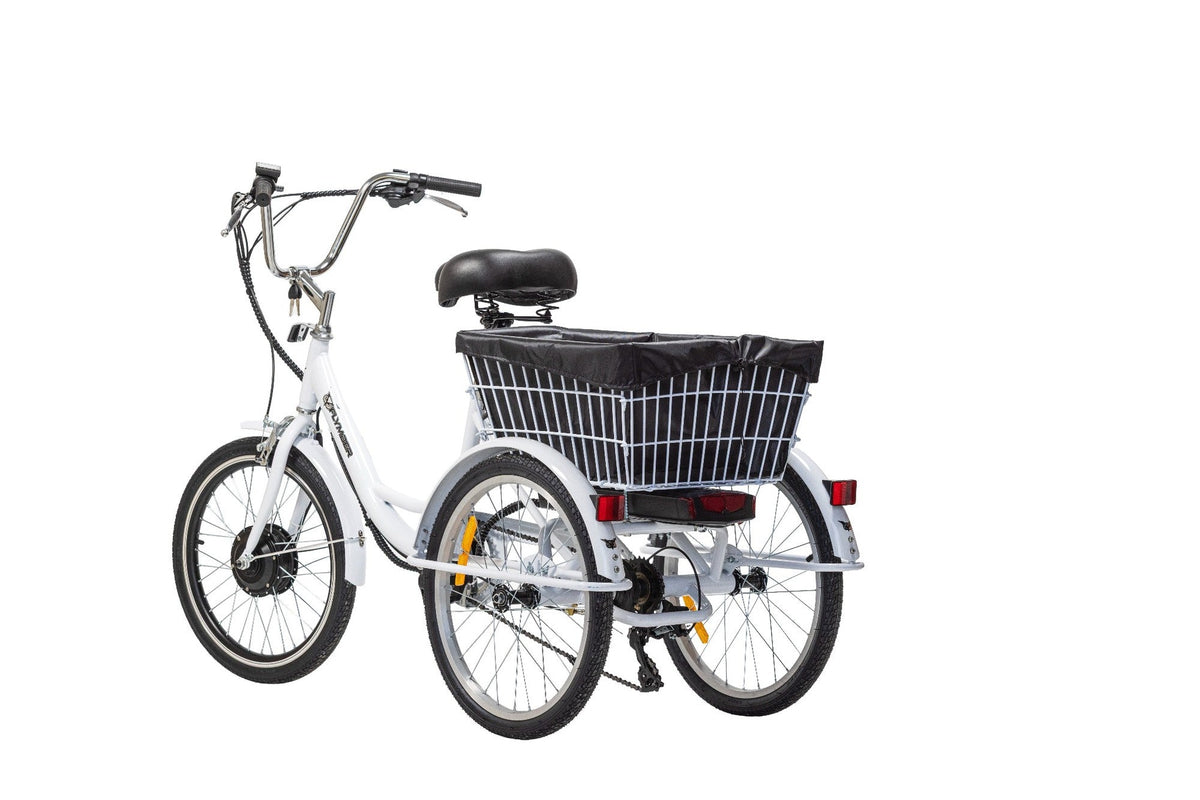 Trike Flymber 20 - Flymber Bikes -